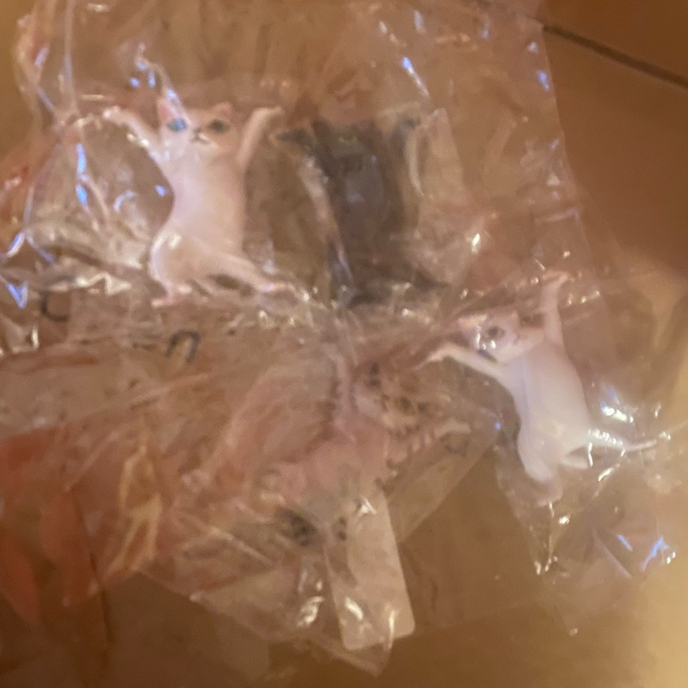 Dancing Cat Figurine Set